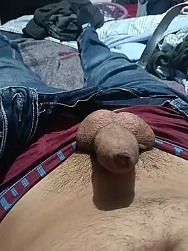 25fredo stripchat live cam model