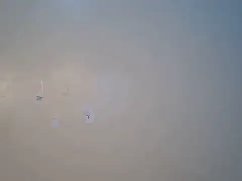pettite_ass11 stripchat live cam model