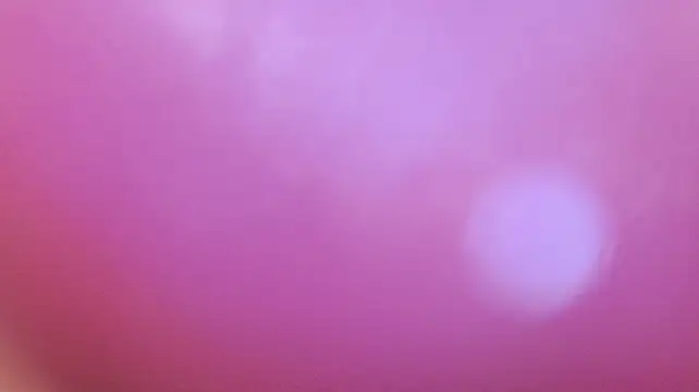 LunaVegter stripchat live cam model