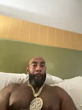 QHefner52 stripchat live cam model