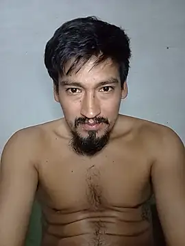 stefamholmes stripchat live cam model