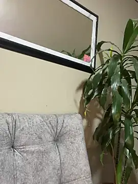 Sofiaaa0 stripchat live cam model