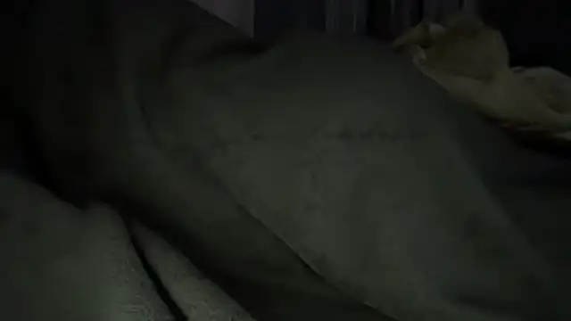 Tommyboi0000 stripchat live cam model