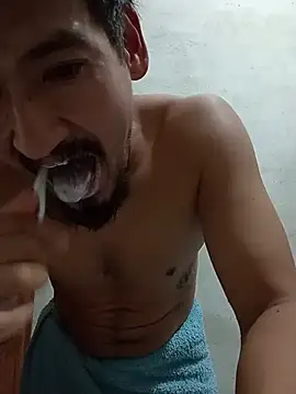 stefamholmes stripchat live cam model