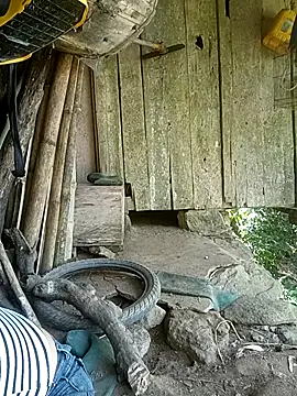 Ruaiuoi stripchat live cam model