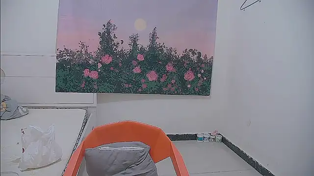 paofu-001 stripchat live cam model