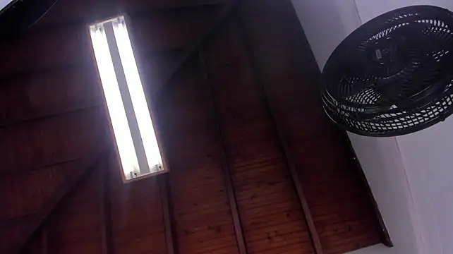 littlemusee stripchat live cam model