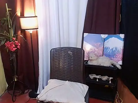 HornyKerujieTrans stripchat live cam model