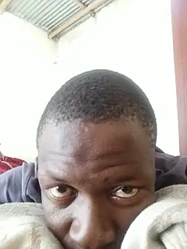 lilpip stripchat live cam model