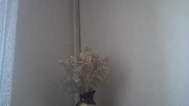 Littlecatme stripchat live cam model