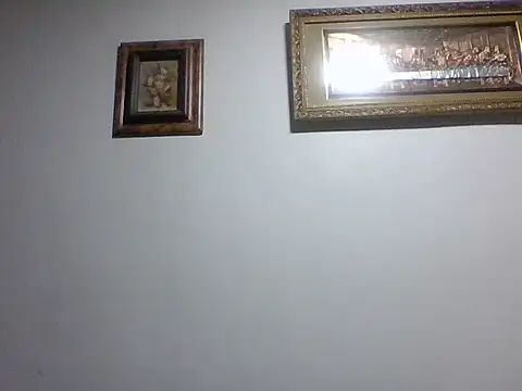 Frank06039CL stripchat live cam model