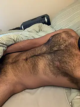 cubgay4u stripchat live cam model