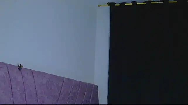 alessia_temptation stripchat live cam model