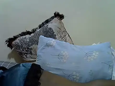 verl1 stripchat live cam model