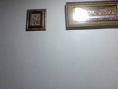Frank06039CL stripchat live cam model