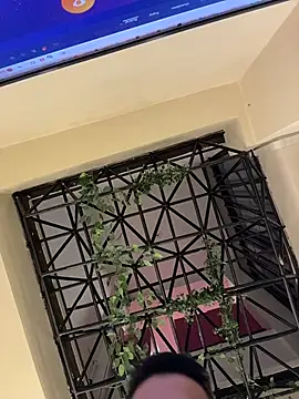 Juann-cock stripchat live cam model