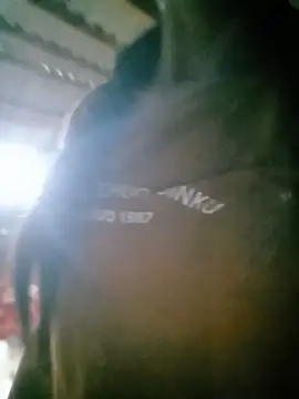 Ozenli- stripchat live cam model