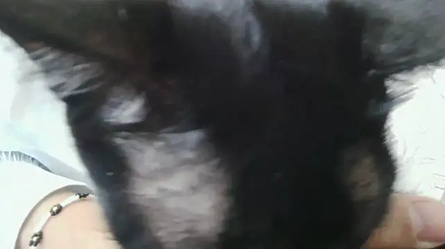 JacklynGingrich stripchat live cam model