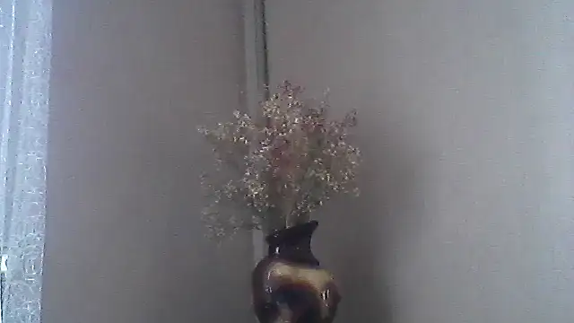 Littlecatme stripchat live cam model