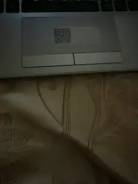 Sexyfemm_ stripchat live cam model