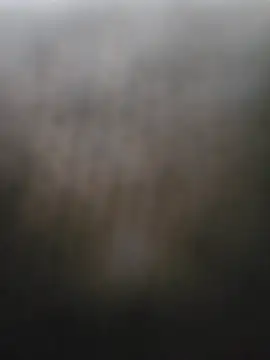 Einstein122 stripchat live cam model