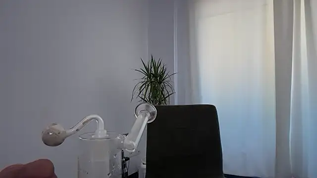 tsdarlabarbie stripchat live cam model
