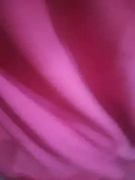 elephant6 stripchat live cam model