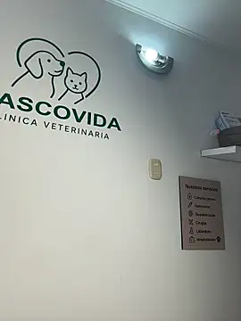 Nahomy_benet stripchat live cam model