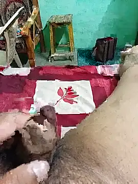 Playbo100 stripchat live cam model