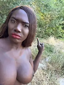 blackhotpartyts stripchat live cam model