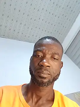 Bulletact stripchat live cam model
