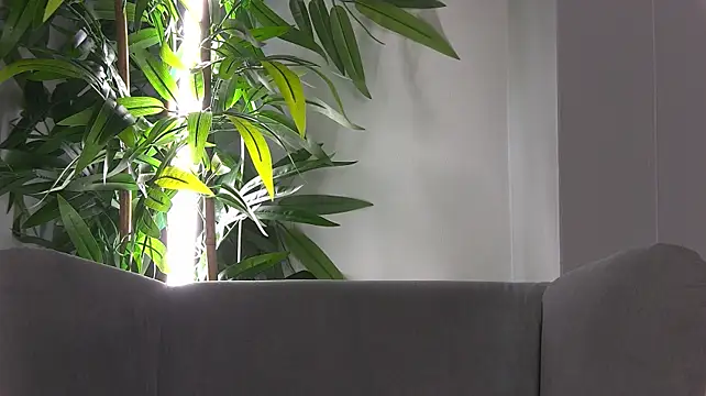 KittyNuarr stripchat live cam model