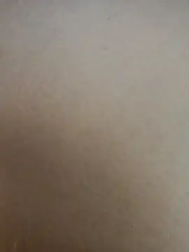 Elisa_Venezia stripchat live cam model