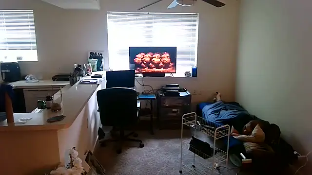 Q1357q stripchat live cam model