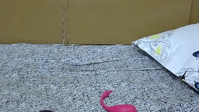 Creamygal2 stripchat live cam model