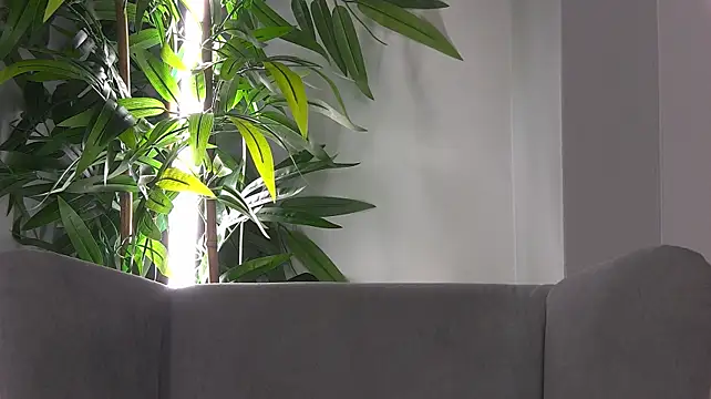 KittyNuarr stripchat live cam model