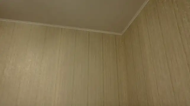 BlondieOnline_ stripchat live cam model