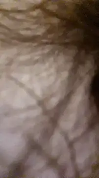rposhta1991 stripchat live cam model