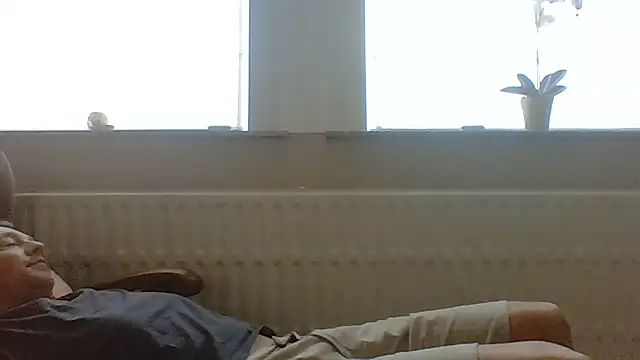 bertolini stripchat live cam model