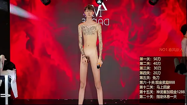 NDN-6666 stripchat live cam model