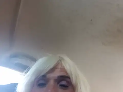 dustbunny64 stripchat live cam model