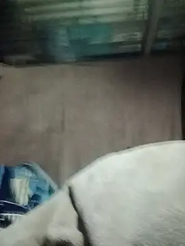 Naughtygrany stripchat live cam model