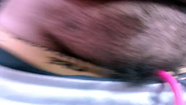Kristy_rouseXXX stripchat live cam model