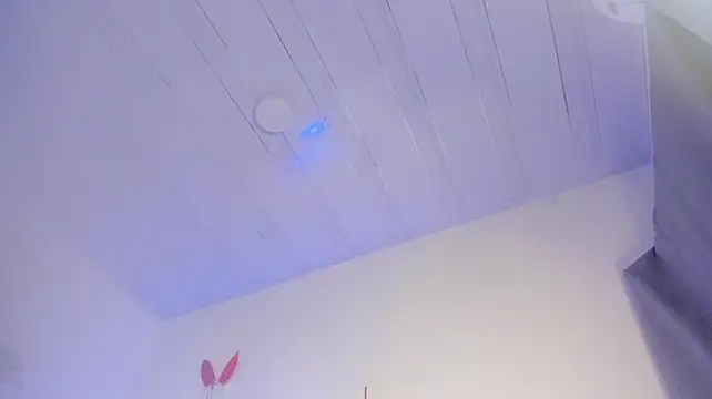 aishathornee stripchat live cam model