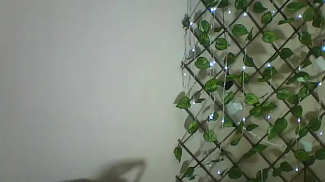 Mich76 stripchat live cam model