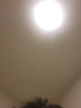 lofibunni stripchat live cam model