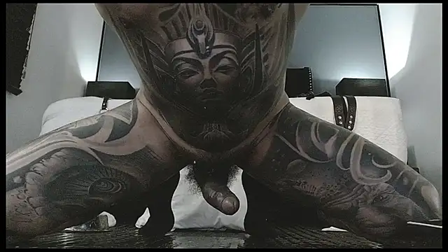 danilog515 stripchat live cam model