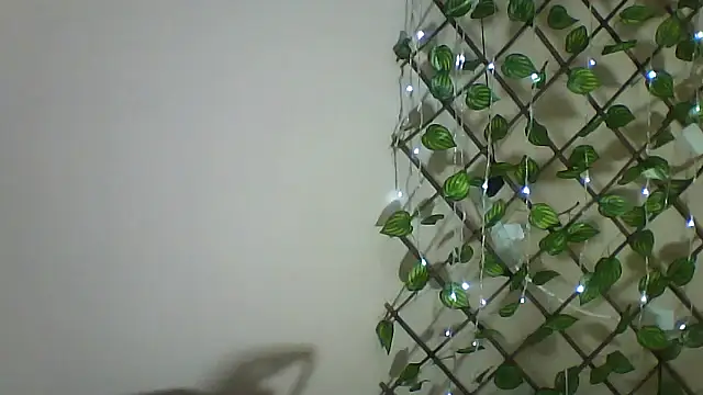 Mich76 stripchat live cam model