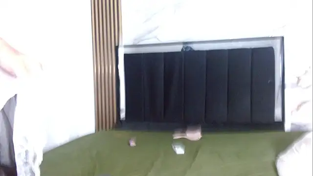 lau_and_andy stripchat live cam model