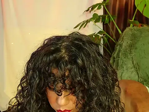 stellart stripchat live cam model